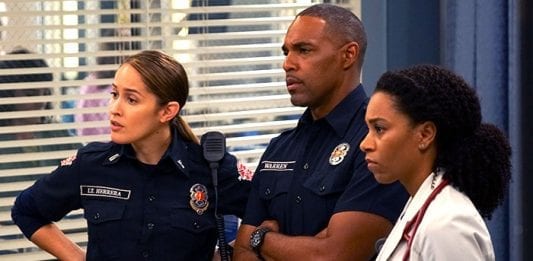 Grey's Anatomy 15 Station 19 2 crossover