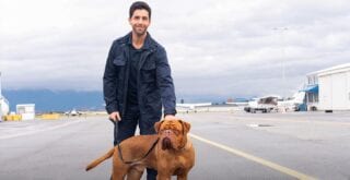 Turner e Hooch serie in streaming su Disney+ trama, cast e uscita