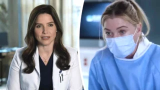 Sophia Bush cast Grey's Anatomy 21