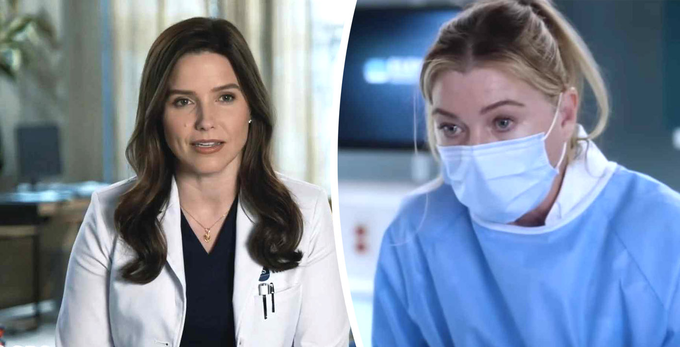 Sophia Bush si unisce al cast di Grey's Anatomy 21