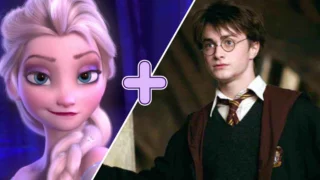 combo personaggio disney harry potter