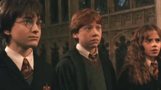 Harry Potter protagonista riforma programmi scolastici